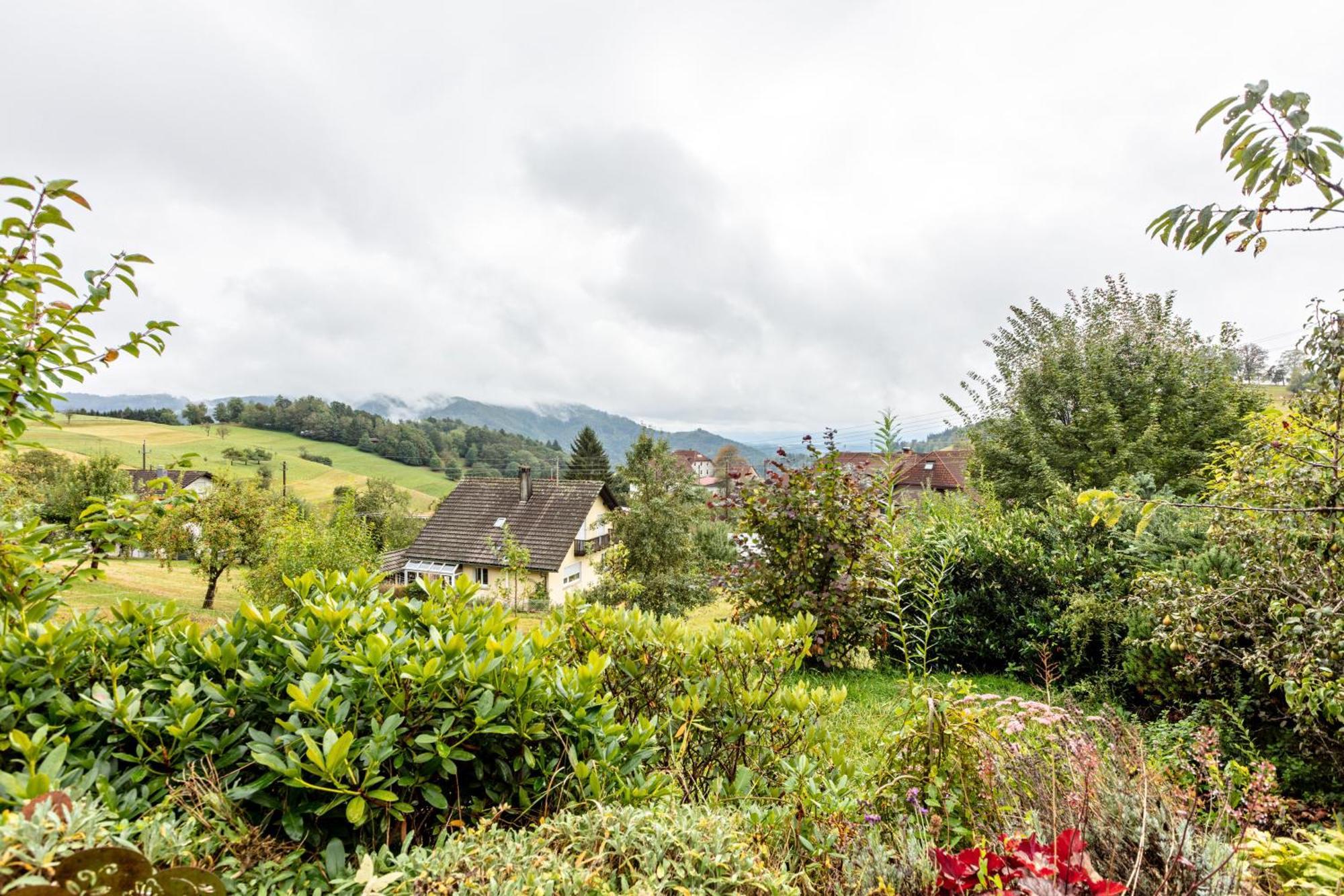 Apartamento Haus Landblick Zell im Wiesenthal Exterior foto